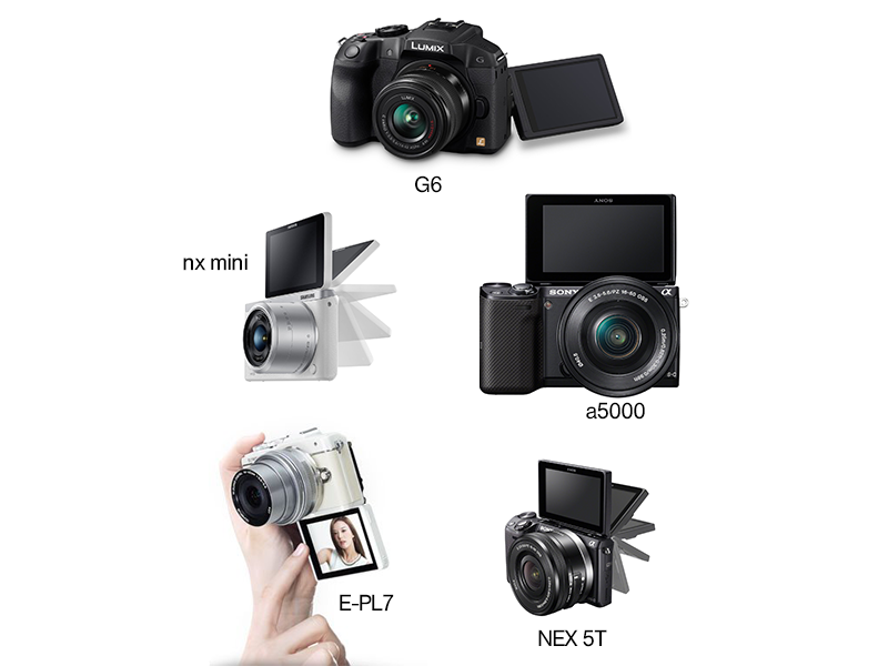 Camera With Flip Screen